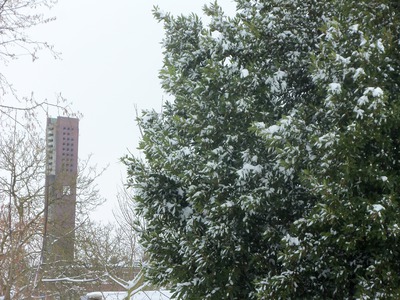 Paroisse Saint-Pierre